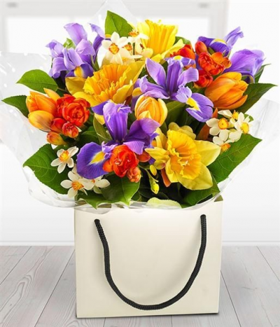 Fizz - Aqua arrangement in a bag full of gorgeous flowers in a colour explosion